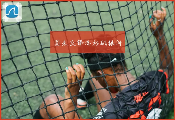 国米交锋洛杉矶银河